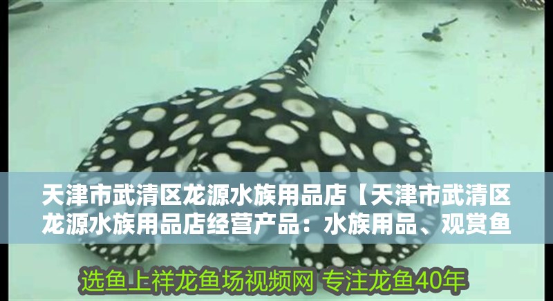 天津市武清區(qū)龍?jiān)此逵闷返辍咎旖蚴形淝鍏^(qū)龍?jiān)此逵闷返杲?jīng)營(yíng)產(chǎn)品：水族用品、觀賞魚零售】