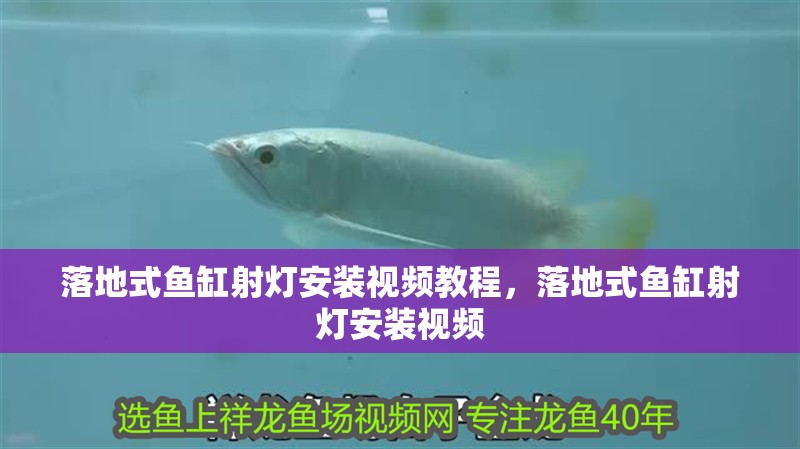 落地式魚缸射燈安裝視頻教程，落地式魚缸射燈安裝視頻