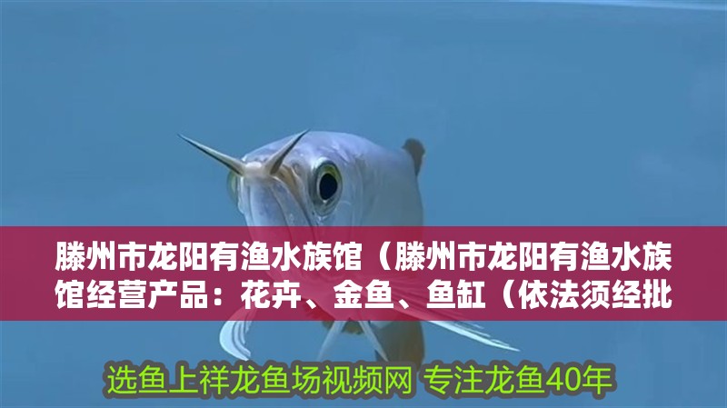 滕州市龍陽有漁水族館（滕州市龍陽有漁水族館經營產品：花卉、金魚、魚缸（依法須經批準的項目））