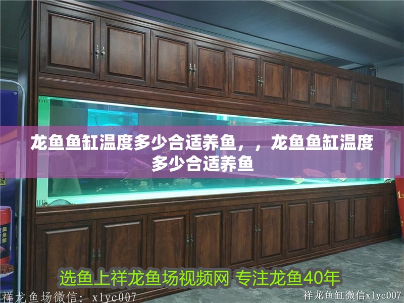 龍魚(yú)魚(yú)缸溫度多少合適養(yǎng)魚(yú)，，龍魚(yú)魚(yú)缸溫度多少合適養(yǎng)魚(yú)