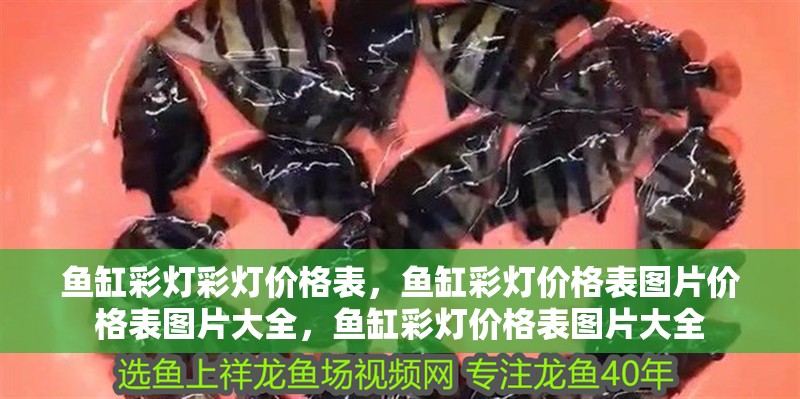 魚缸彩燈彩燈價格表，魚缸彩燈價格表圖片價格表圖片大全，魚缸彩燈價格表圖片大全