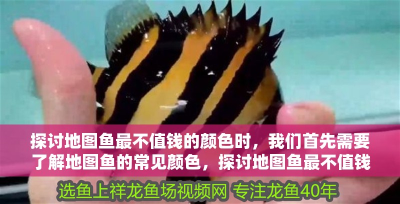 探討地圖魚最不值錢的顏色時，我們首先需要了解地圖魚的常見顏色，探討地圖魚最不值錢的顏色
