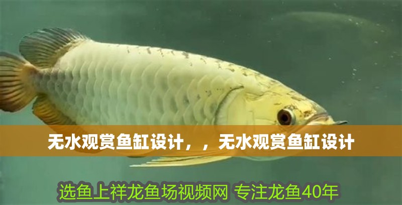 無水觀賞魚缸設(shè)計(jì)，，無水觀賞魚缸設(shè)計(jì)