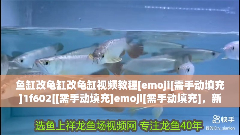 魚缸改龜缸改龜缸視頻教程[emoji[需手動填充]1f602[[需手動填充]emoji[需手動填充]，新手養寵物，如何選擇適合自己的魚缸