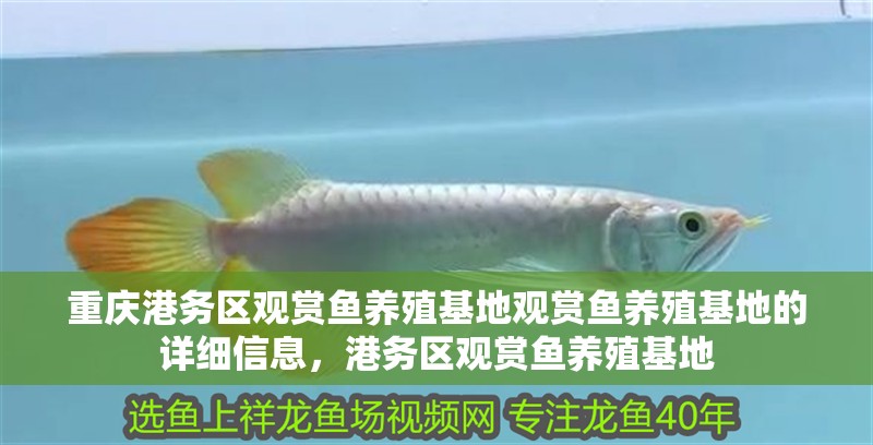 重慶港務區觀賞魚養殖基地觀賞魚養殖基地的詳細信息，港務區觀賞魚養殖基地