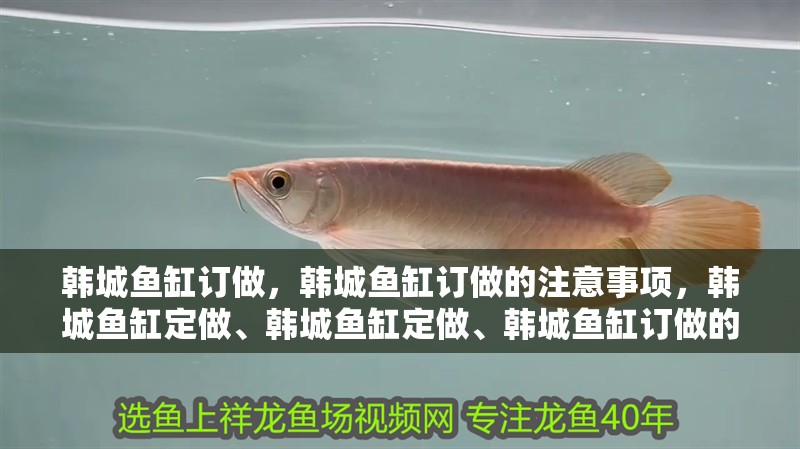 韓城魚缸訂做，韓城魚缸訂做的注意事項，韓城魚缸定做、韓城魚缸定做、韓城魚缸訂做的注意事項