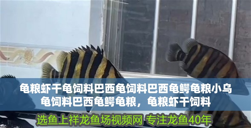 龜糧蝦干龜飼料巴西龜飼料巴西龜鱷龜糧小烏龜飼料巴西龜鱷龜糧，龜糧蝦干飼料