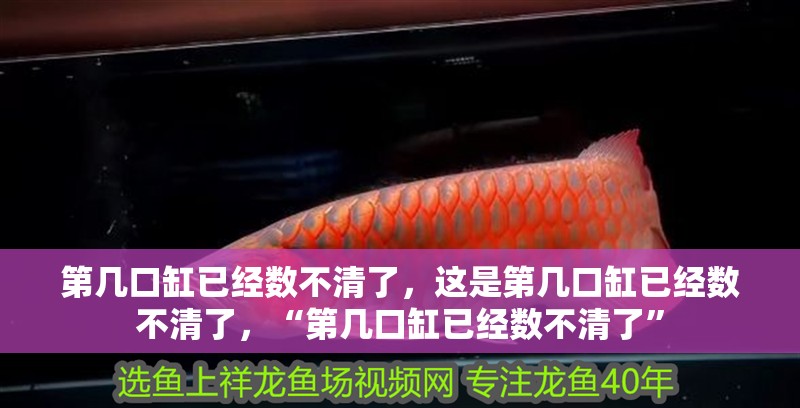 第幾口缸已經(jīng)數(shù)不清了，這是第幾口缸已經(jīng)數(shù)不清了，“第幾口缸已經(jīng)數(shù)不清了”