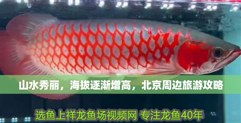 山水秀麗，海拔逐漸增高，北京周邊旅游攻略