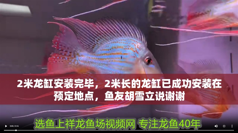 2米龍缸安裝完畢，2米長的龍缸已成功安裝在預定地點，魚友胡雪立說謝謝