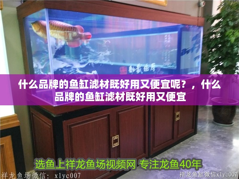 什么品牌的魚缸濾材既好用又便宜呢？，什么品牌的魚缸濾材既好用又便宜
