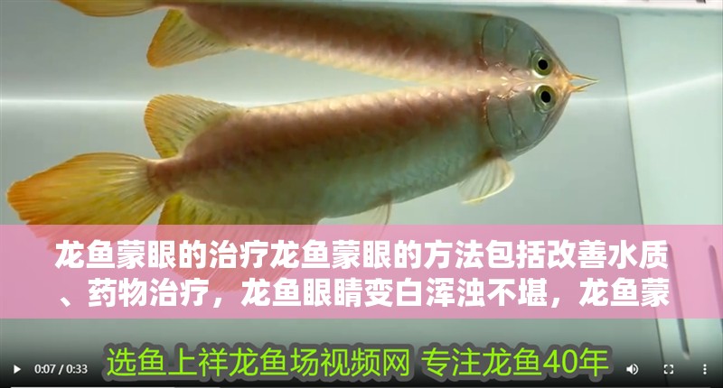 龍魚蒙眼的治療龍魚蒙眼的方法包括改善水質、藥物治療，龍魚眼睛變白渾濁不堪，龍魚蒙眼的治療一定要及時治療