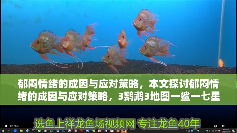 郁悶情緒的成因與應對策略，本文探討郁悶情緒的成因與應對策略，3鸚鵡3地圖一鯊一七星刀