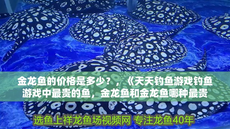 金龍魚的價(jià)格是多少？，《天天釣魚游戲釣魚游戲中最貴的魚，金龍魚和金龍魚哪種最貴
