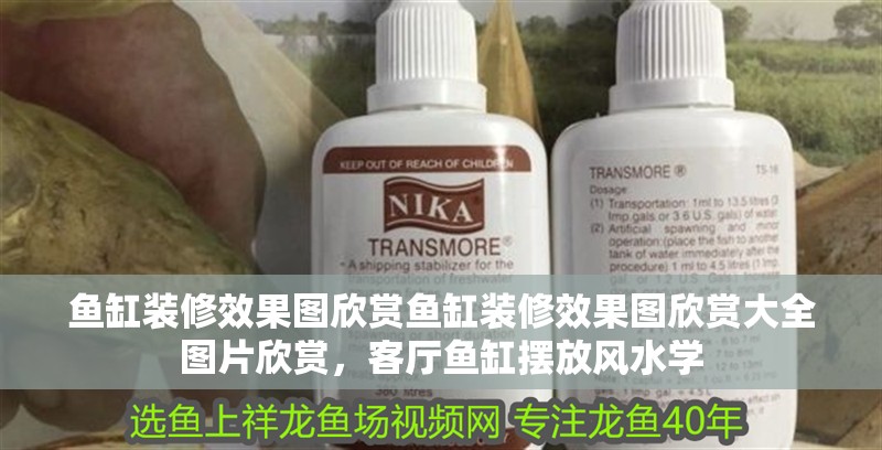 魚缸裝修效果圖欣賞魚缸裝修效果圖欣賞大全圖片欣賞，客廳魚缸擺放風水學