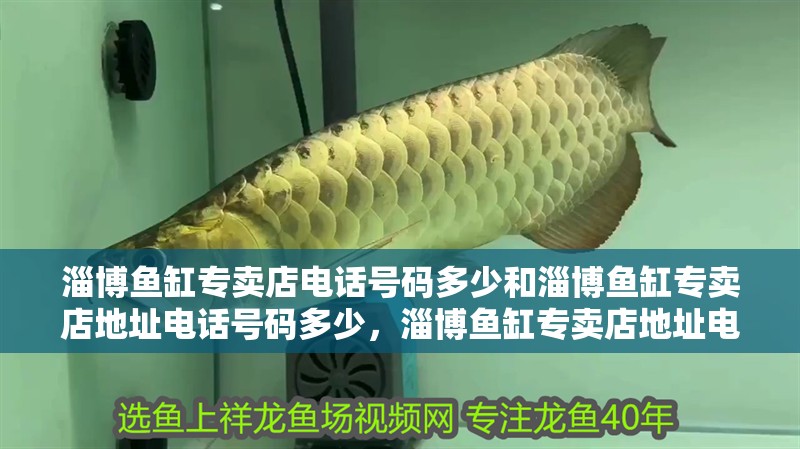 <strong><mark>淄博</mark></strong>魚缸專賣店電話號碼多少和<strong><mark>淄博</mark></strong>魚缸專賣店地址電話號碼多少，<strong><mark>淄博</mark></strong>魚缸專賣店地址電話號碼多少