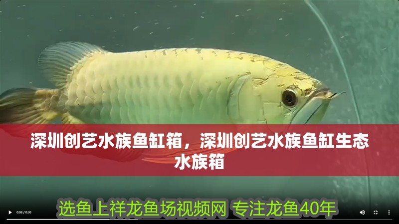 深圳創藝水族魚缸箱，深圳創藝水族魚缸生態水族箱