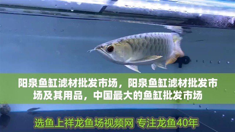 陽泉魚缸濾材批發市場，陽泉魚缸濾材批發市場及其用品，中國最大的魚缸批發市場