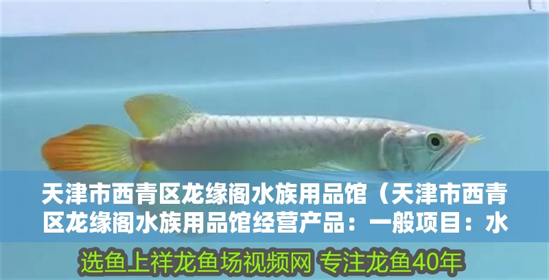 天津市西青區(qū)龍緣閣水族用品館（天津市西青區(qū)龍緣閣水族用品館經(jīng)營產(chǎn)品：一般項(xiàng)目：水產(chǎn)品批發(fā)）