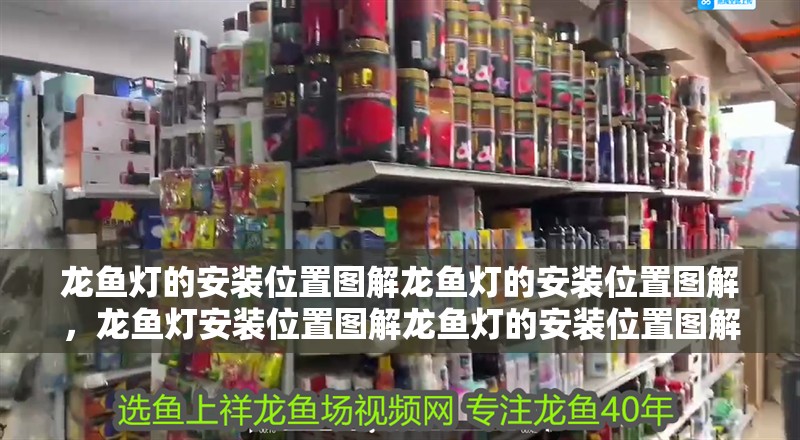 龍魚(yú)燈的安裝位置圖解龍魚(yú)燈的安裝位置圖解，龍魚(yú)燈安裝位置圖解龍魚(yú)燈的安裝位置圖解，別忘了關(guān)注祥龍魚(yú)場(chǎng)哦