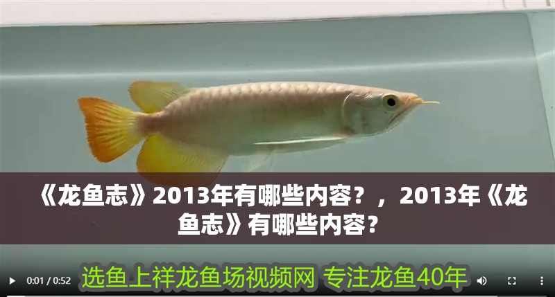 《龍魚志》2013年有哪些內容？，2013年《龍魚志》有哪些內容？