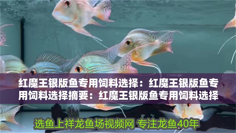紅魔王銀版魚專用飼料選擇：紅魔王銀版魚專用飼料選擇摘要：紅魔王銀版魚專用飼料選擇