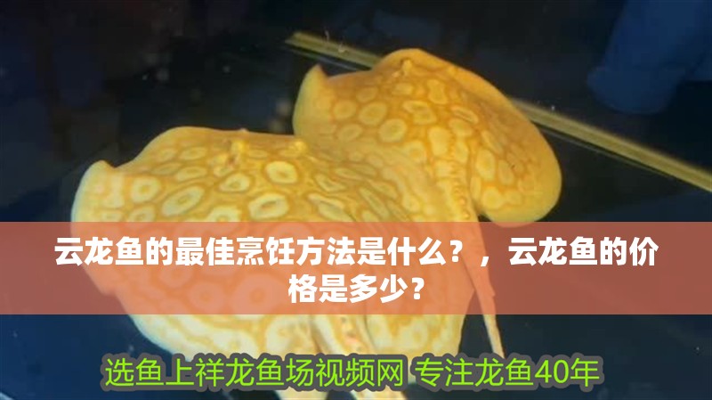云龍魚的最佳烹飪方法是什么？，云龍魚的價(jià)格是多少？
