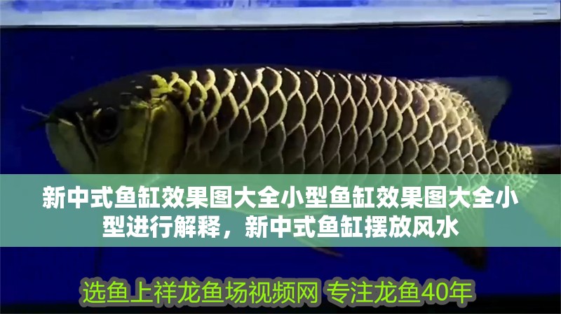 新中式魚缸效果圖大全小型魚缸效果圖大全小型進行解釋，新中式魚缸擺放風水