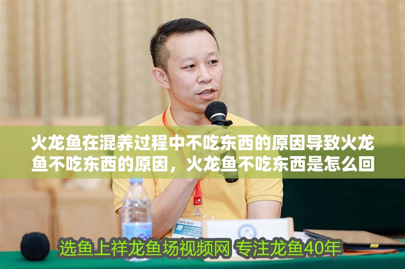 火龍魚在混養(yǎng)過程中不吃東西的原因導致火龍魚不吃東西的原因，火龍魚不吃東西是怎么回事