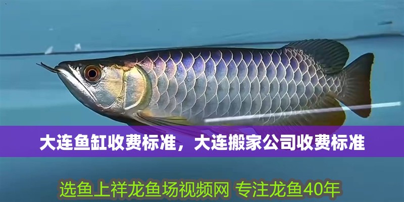 大連魚缸收費標準，大連搬家公司收費標準