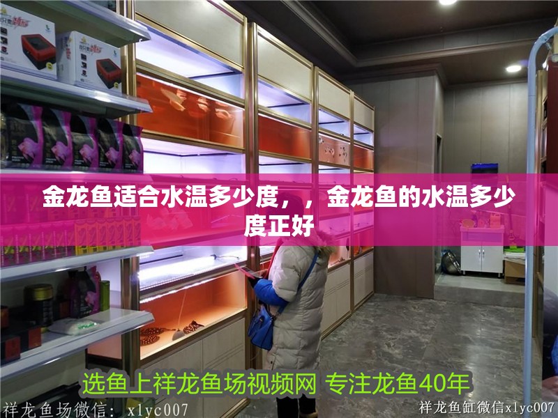 金龍魚(yú)適合水溫多少度，，金龍魚(yú)的水溫多少度正好