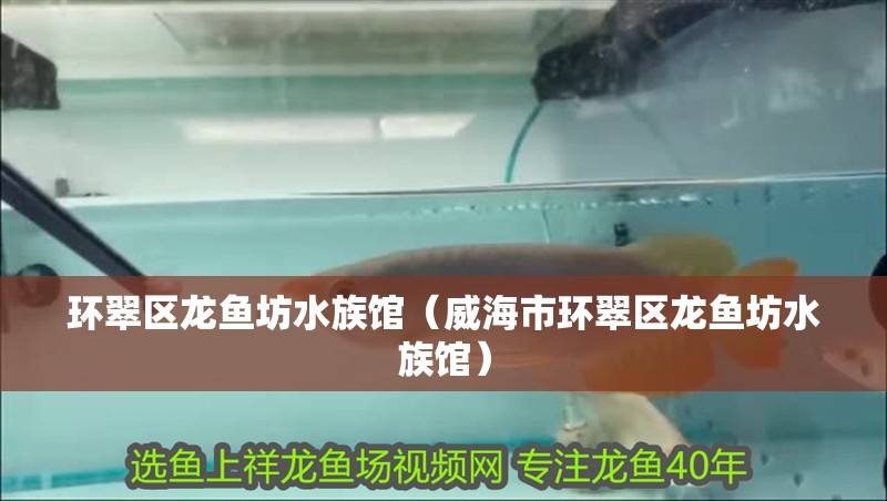 環翠區龍魚坊水族館（威海市環翠區龍魚坊水族館）