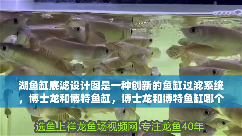 湖魚缸底濾設(shè)計圖是一種創(chuàng)新的魚缸過濾系統(tǒng)，博士龍和博特魚缸，博士龍和博特魚缸哪個好
