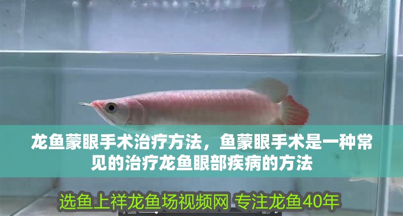 龍魚蒙眼手術治療方法，魚蒙眼手術是一種常見的治療龍魚眼部疾病的方法