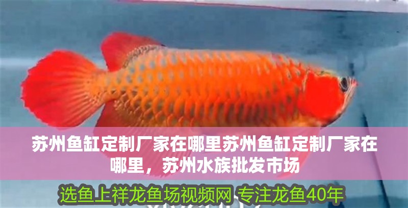 蘇州魚缸定制廠家在哪里蘇州魚缸定制廠家在哪里，蘇州水族批發(fā)市場