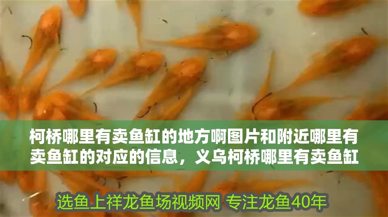 柯橋哪里有賣魚缸的地方啊圖片和附近哪里有賣魚缸的對應的信息，義烏柯橋哪里有賣魚缸的地方啊