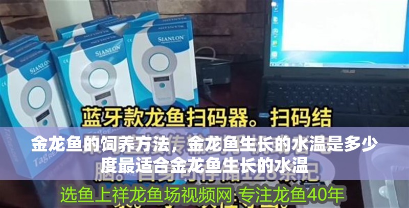 金龍魚的飼養(yǎng)方法，金龍魚生長的水溫是多少度最適合金龍魚生長的水溫