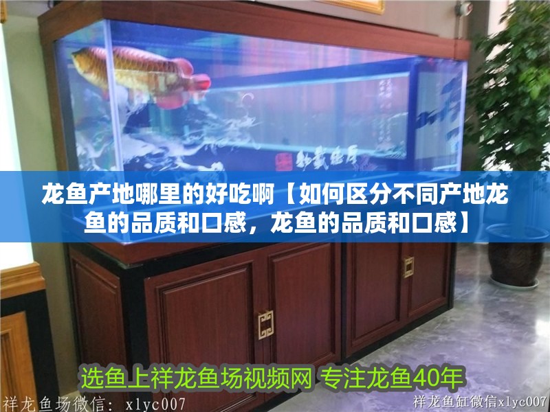 龍魚產地哪里的好吃啊【如何區分不同產地龍魚的品質和口感，龍魚的品質和口感】