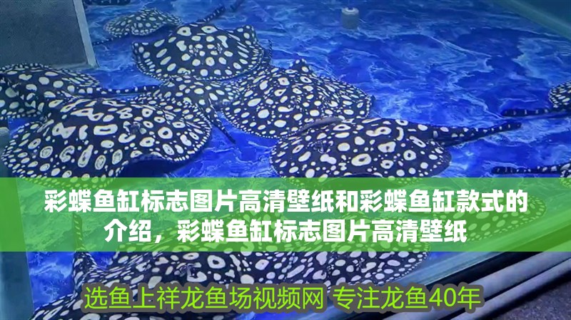 彩蝶魚缸標志圖片高清壁紙和彩蝶魚缸款式的介紹，彩蝶魚缸標志圖片高清壁紙