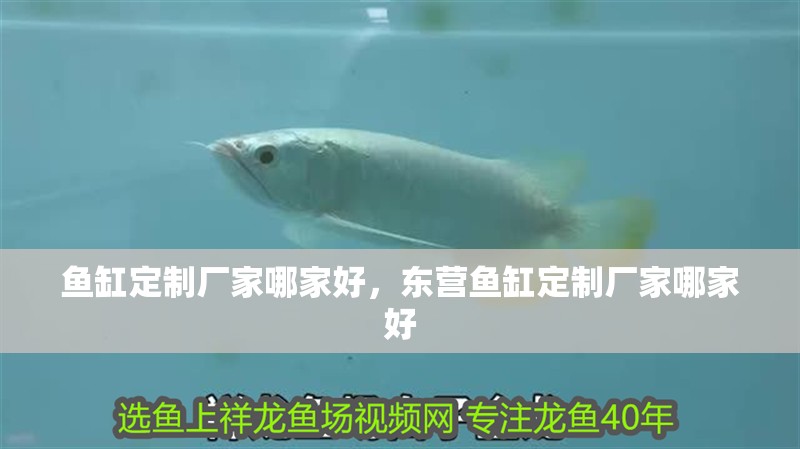 魚缸定制廠家哪家好，東營魚缸定制廠家哪家好