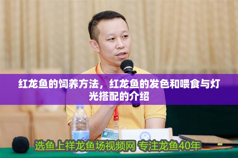 紅龍魚(yú)的飼養(yǎng)方法，紅龍魚(yú)的發(fā)色和喂食與燈光搭配的介紹