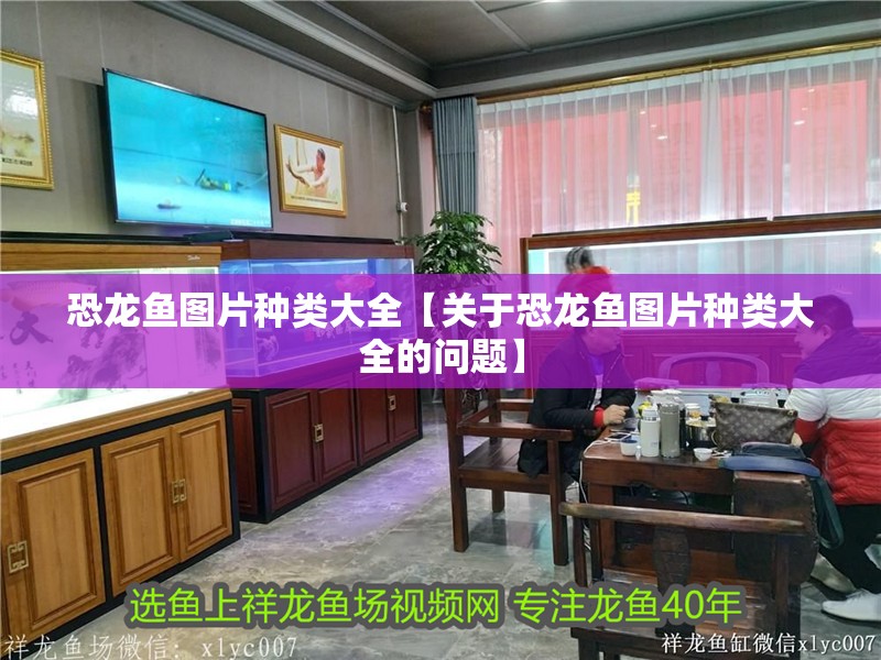 恐龍魚圖片種類大全【關于恐龍魚圖片種類大全的問題】