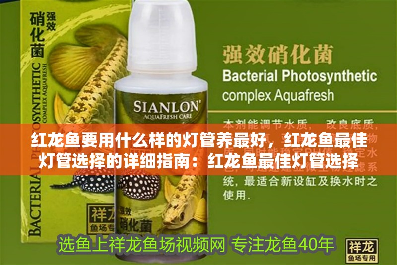 紅龍魚(yú)要用什么樣的燈管養(yǎng)最好，紅龍魚(yú)最佳燈管選擇的詳細(xì)指南：紅龍魚(yú)最佳燈管選擇