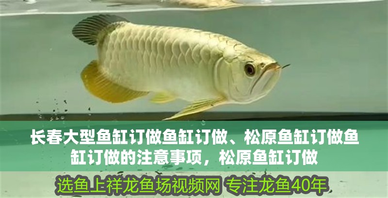 長(zhǎng)春大型魚(yú)缸訂做魚(yú)缸訂做、松原魚(yú)缸訂做魚(yú)缸訂做的注意事項(xiàng)，松原魚(yú)缸訂做