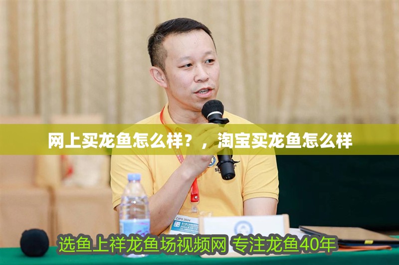 網上買龍魚怎么樣？，淘寶買龍魚怎么樣