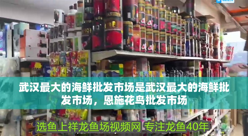 武漢最大的海鮮批發市場是武漢最大的海鮮批發市場，恩施花鳥批發市場
