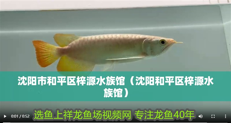 沈陽市和平區梓源水族館（沈陽和平區梓源水族館）