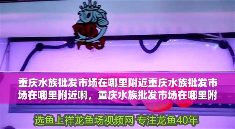 重慶水族批發市場在哪里附近重慶水族批發市場在哪里附近啊，重慶水族批發市場在哪里附近啊