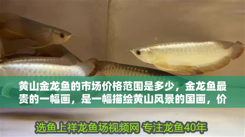 黃山金龍魚的市場價格范圍是多少，金龍魚最貴的一幅畫，是一幅描繪黃山風景的國畫，價格走勢如何
