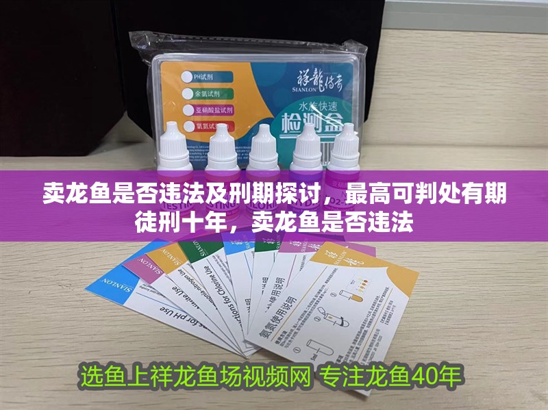 賣龍魚是否違法及刑期探討，最高可判處有期徒刑十年，賣龍魚是否違法
